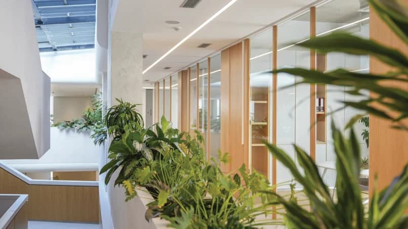 Daylit offices inside the Innovation Center